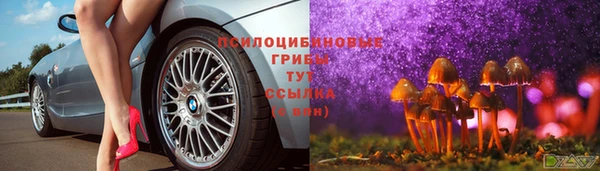 сатива Абинск