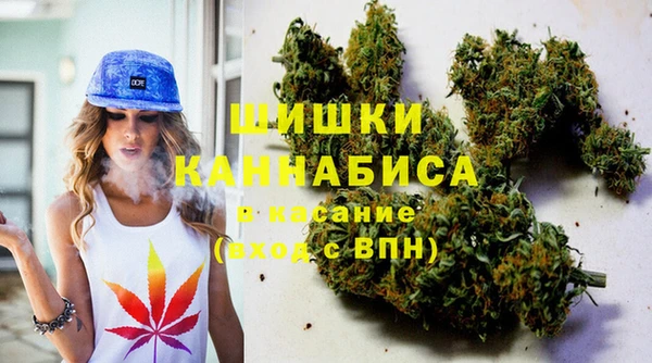 индика Абдулино