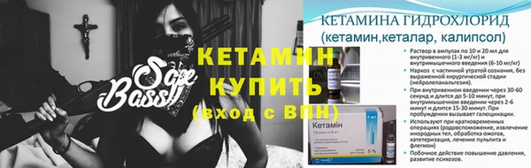 прущие грибы Абаза
