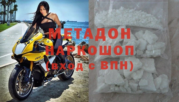 прущие грибы Абаза