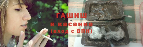 сатива Абинск