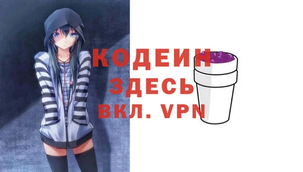 прущие грибы Абаза