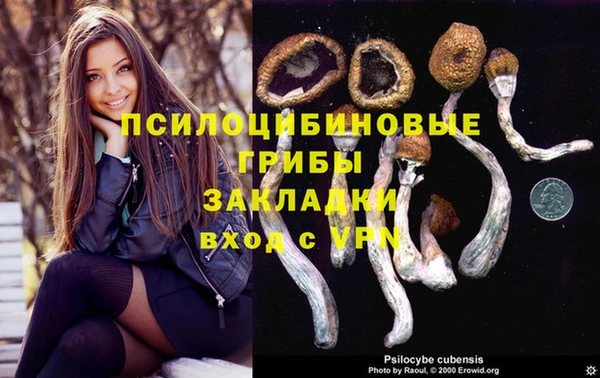 сатива Абинск