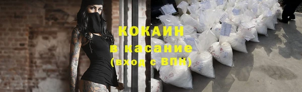 сатива Абинск