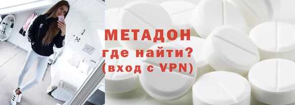 прущие грибы Абаза