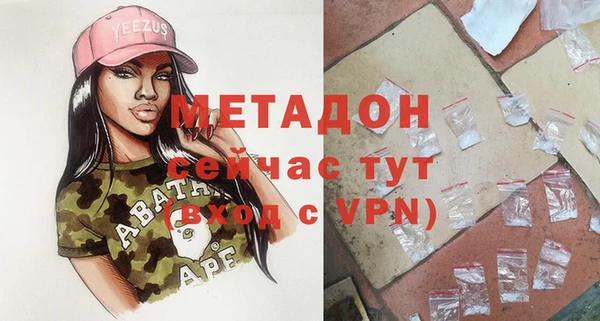 прущие грибы Абаза