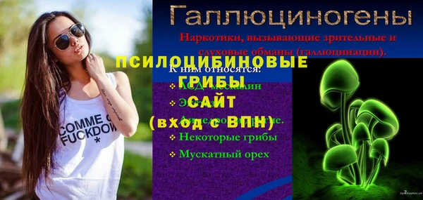 прущие грибы Абаза