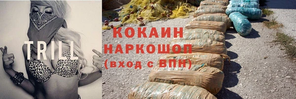 прущие грибы Абаза