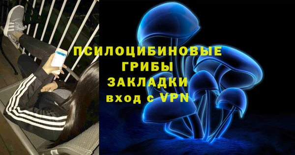индика Абдулино