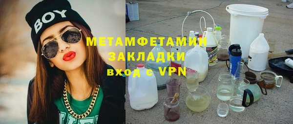 прущие грибы Абаза