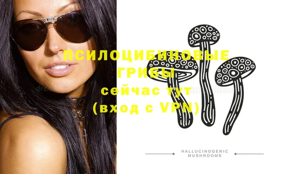 сатива Абинск
