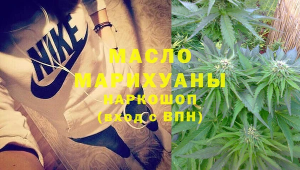прущие грибы Абаза